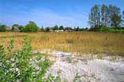 Bodstedt