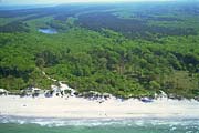Darßwald Weststrand