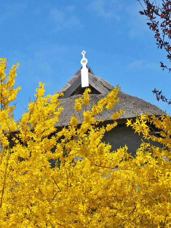 Frühling in Ahrenshoop - zu Aktuelles
