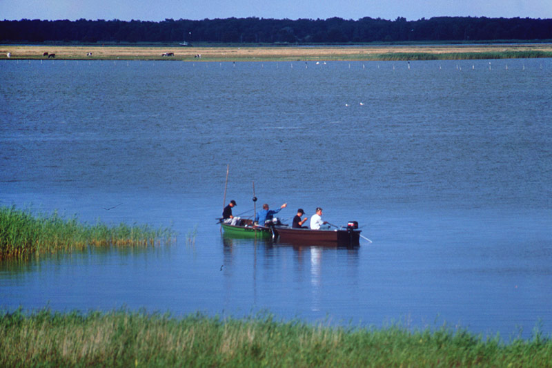 Angler auf dem Barther Bodden