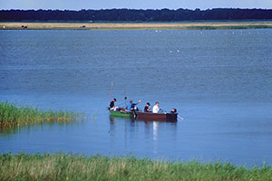 Angeln am Schilfgürtel Barther Bodden