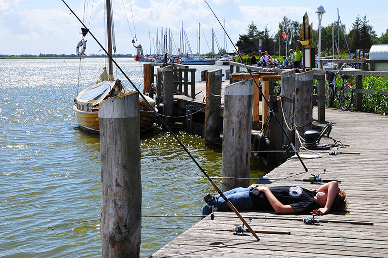 Angler am Bodstedter Hafen - zurück ...