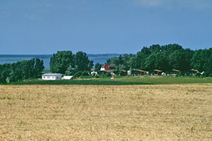 Bungalows am Erlebnisreiterhof Bernsteinreiter Barth