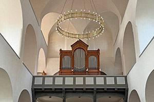 Schlosskirche Franzburg - Orgel