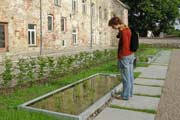 Wasserpflanzen im alten Klostergarten