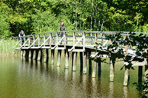 Brücke über Prerow-Strom