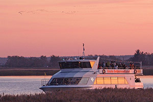 Kranichbeobachtung mit Fahrgastschiff