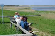 Pramort auf der Halbinsel Zingst