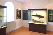 Ausstellung Naturum Darßer Ort 2