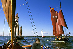 Zeesenbootregatta auf dem Bodstedter Bodden - Bild vergrößern ...